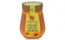 Amolak Himalayan Honey   Jar  250 grams